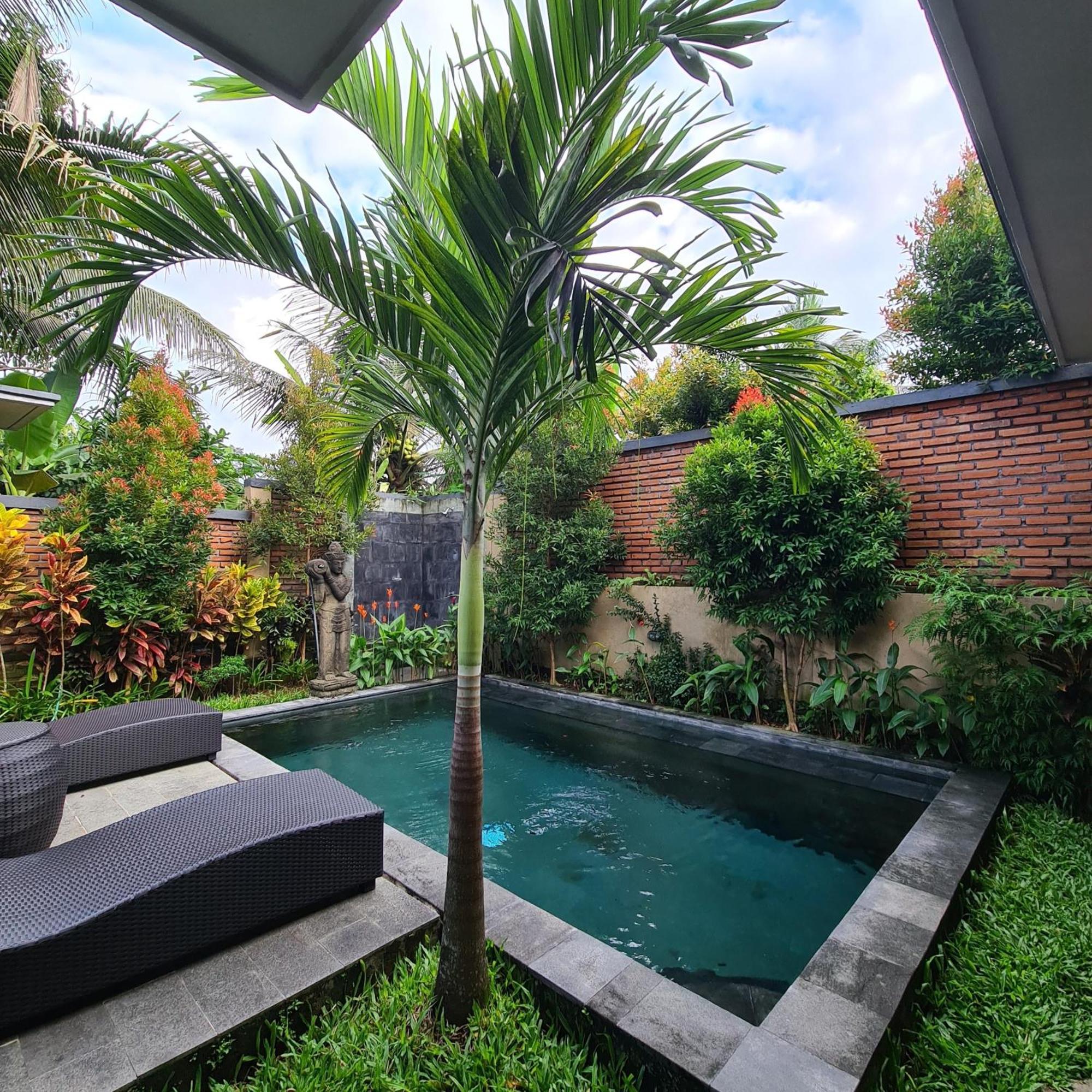 Ubud mesari Private Pool Villa Exterior foto